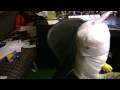 Adult Swim Spot Watch The Friggen Thing