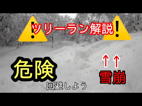 Video: ツリーランの危険なところ！夏油高原スキー場『ビーチ』コース状況解説