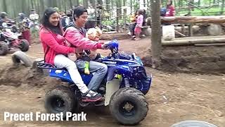 preview picture of video 'Wisata Pohon pinus#precetforestpark#Atv'