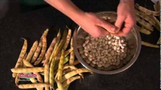 Coco de Paimpol, le préparer, le cuire