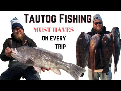 What do I need to catch Blackfish? Fishing for Blackfish with Jigs in New Jersey.