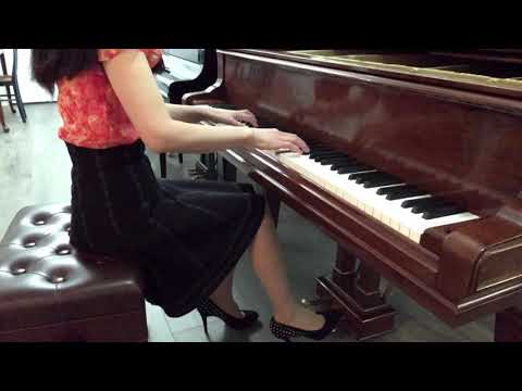 At Last Alfred’s Basic Adult Piano Course Lesson Book Level One Beginner Easy