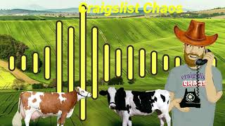 Craigslist Chaos: Cow Chasing