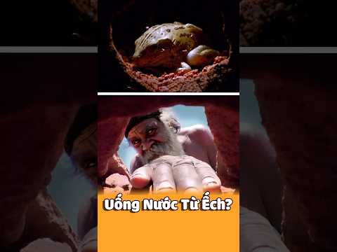 Thổ Dân Úc Uống Nước Từ Bàng Quang Củ Ếch?
