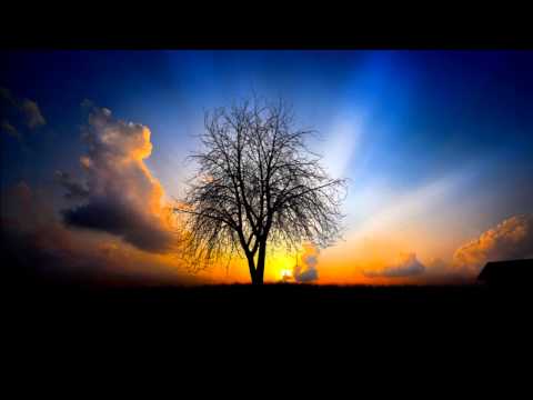 Stjepan Jeršek Štef - Gdje bi duša da mi Slavonije nije