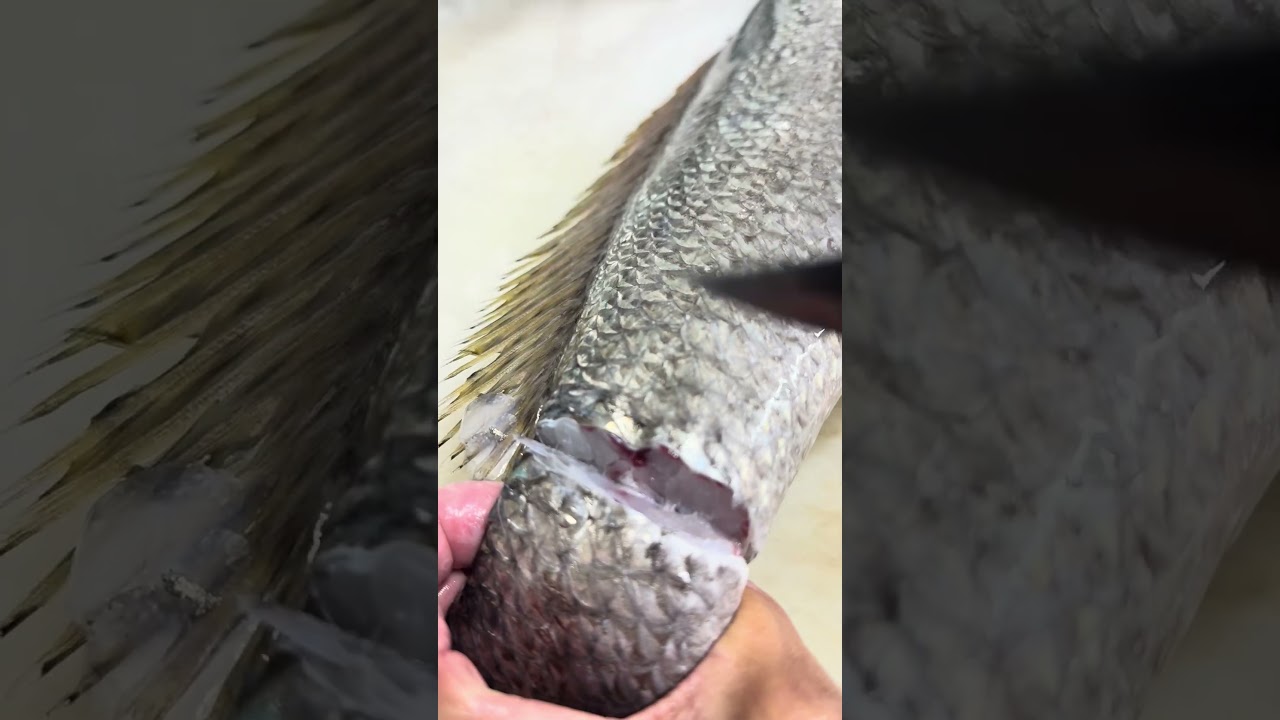 この骨気づいてた？編 vol.726