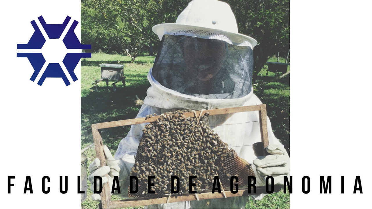 Minha faculdade: Agronomia x Matemática | Luiza Ferreira