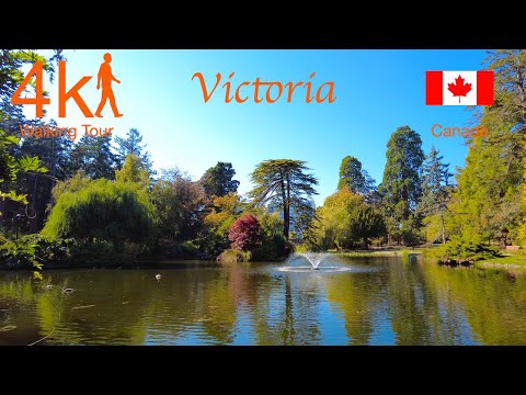 Watch Wild Birds in Nature, Beacon Hill Park Walk 4K, Victoria, Canada, Relaxing Walking Tour 4K UHD
