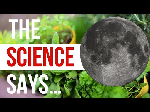Does Moon Phase Planting REALLY Effect Plants? Old Wives Tale OR Based In Science? | Garden Science