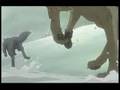 Wolf's Rain AMV: Wash Away