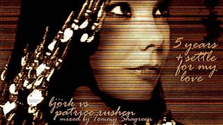 Björk vs Patrice Rushen: 5 Years/Settle for my Love