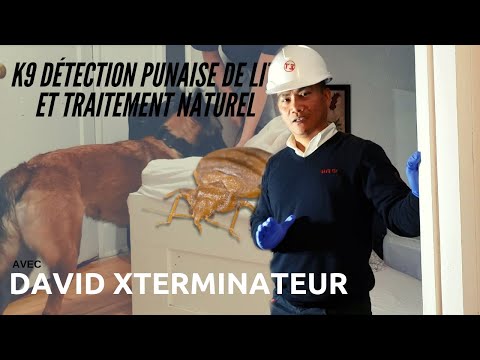 T3 CIRCLE EXTERMINATION video.