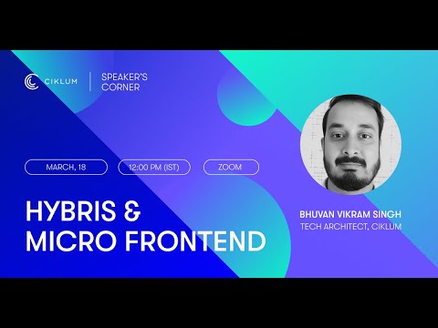 Hybris & Micro Frontend (MFE)