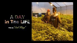 A Day In The Life with &quot;The Soil King&quot; Episode #1 (Kevin Jodrey Wonderland Nursery)