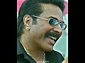 Shylock Mammooty Mass Whatsapp Status
