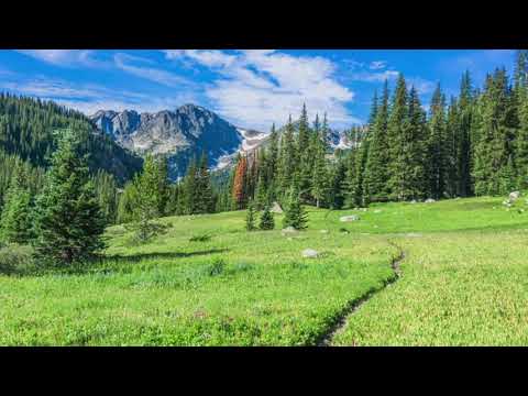 The Intangible-Album 3-"Autumn Splendor"