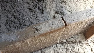 Dangerous things I have seen in roofs and why you do not want to DIY insulation 2016 09 08 12 04 56