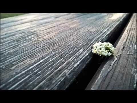 DAWEY feat. KIKI - Say Something (Cover)