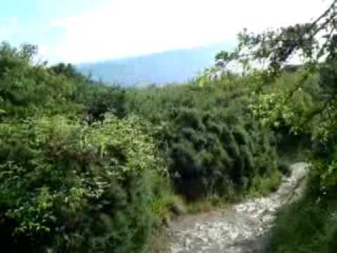 Torbay Devon The walk down to hopes nose