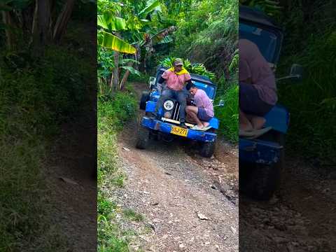 Dahiana López trepando cargada de plátano en su jeep j6 por Balboa Risaralda #campo #jeep