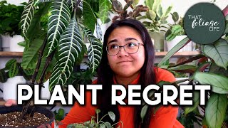 Indoor Plants That I Regret Buying