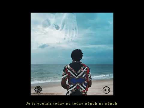 MRKing - Te souviens-tu ? (Video Lyrics)