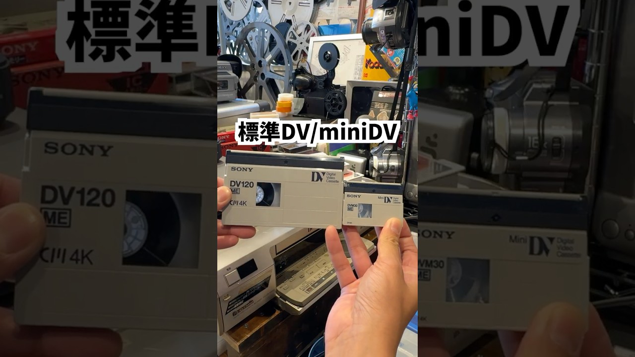 じゃない方っぽい標準DVって知ってる? #shorts