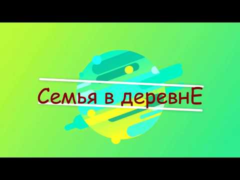 Встретили гостя // Купили гусят