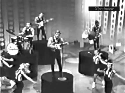 The Strangeloves - Cara Lin (Shindig 1965).flv