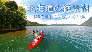 [Lake Shikaribetsu, Hokkaido] A trip to meet the mythical fish Miyabei char Great fishing for t...