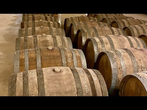 Come INVECCHIARE il VINO SENZA BOTTE