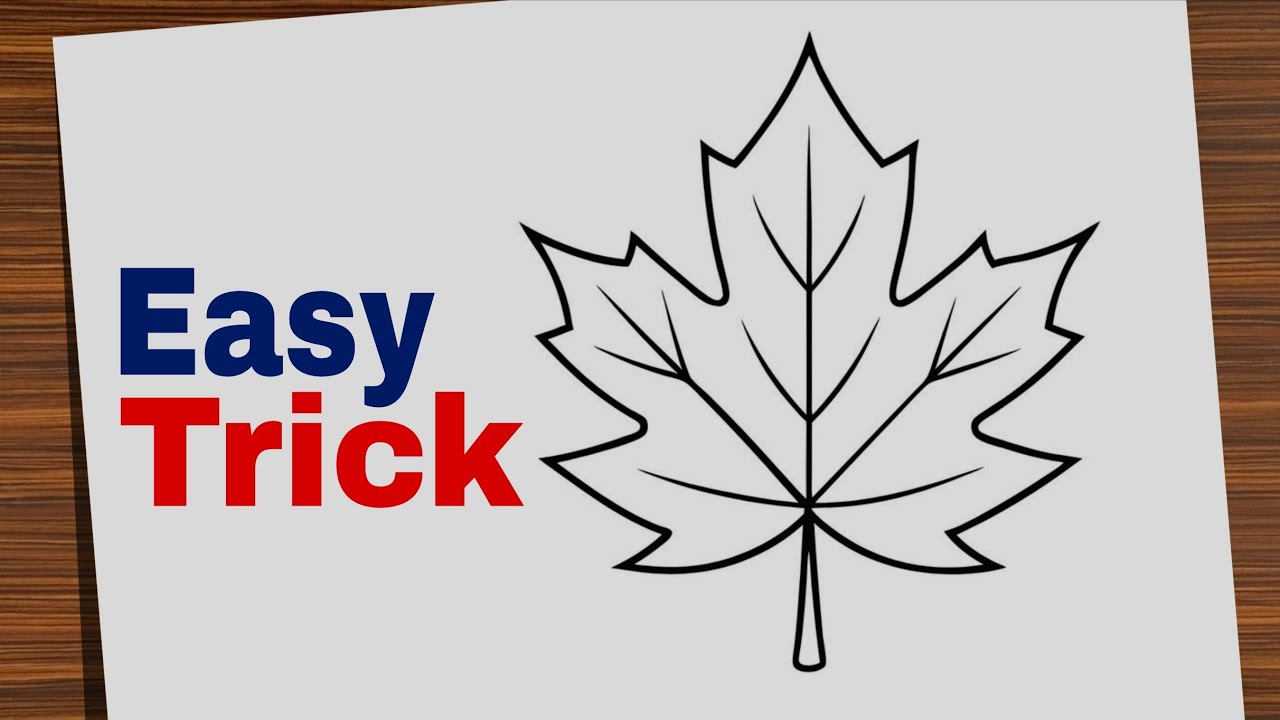 How to Draw a Maple Leaf | Easy Drawing Trick for Beginners