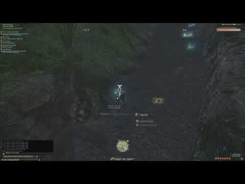 Island Sanctuary - Island Limestone & Cabbage Seeds