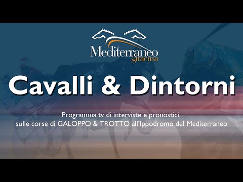 Pronostici corse cavalli Galoppo del 12 Novembre 2022