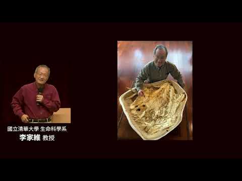 拯救地球生態的最後招數｜李家維