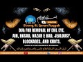 Ruqyah Shariah For Protection From Evil Eye, Jealousy, Negative People, Enemies And Black Magic.