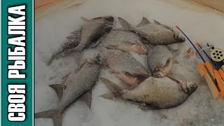 Ловля леща зимой на куйбышевском водохранилище