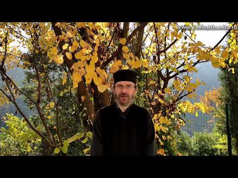 Care sunt cauzele pandemiei și ce putem face? - părintele Teologos