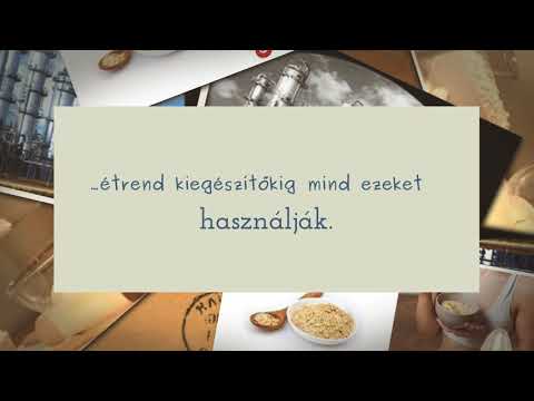 Élesztő és élesztőkivonatok nagykereskedésünkben