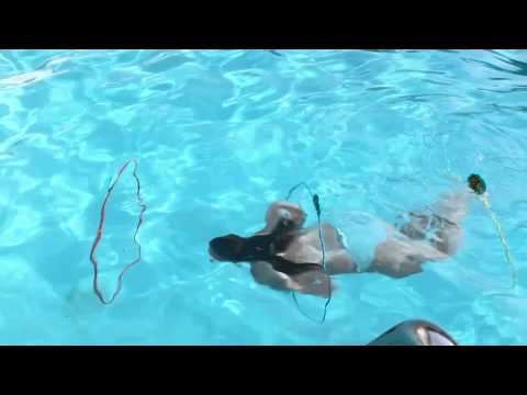 Swim Thru Rings Pool Toy