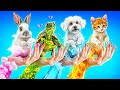 I Helped The Pets Of The 4 Elements Pets Of Fire Water Air And Earth