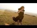 February - When We Were Young (OFFICIAL VIDEO ...