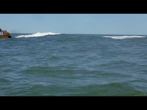 6 16 18 DOLPHIN ADVENTURE SAT 11 30 AM 8  +++++