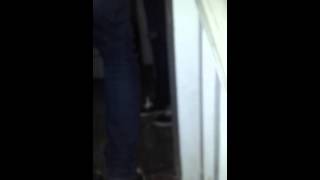 The Haunt: Abandoned House