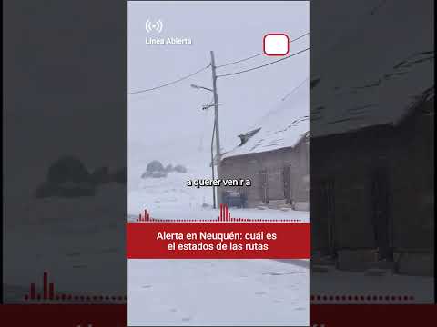 100 camiones en espera y vientos de hasta 75 km/h en Neuquén