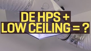 1000W DE HPS with Low Ceiling?