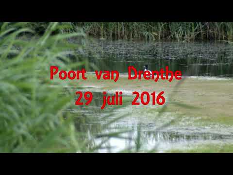 Poort van Drenthe 29 juli 2016