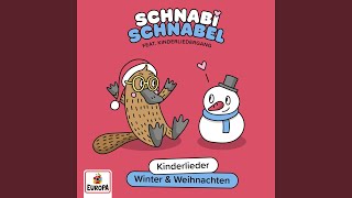 Schneemann, Schneemann, wie siehst du aus?