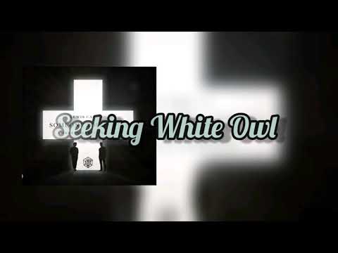 Lewis Capldi, Martin Garrix - Someone You Loved