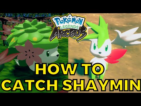 How to catch Shaymin Guide in Pokemon Legends Arceus